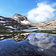 Les miroirs de Grand'Gouilles - art.240755